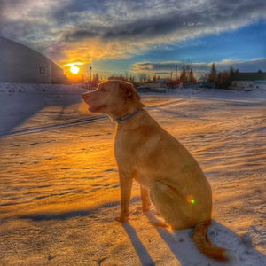 Meet your Posher, Avery